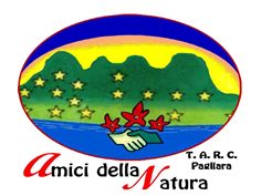 Leggi tutte le News!